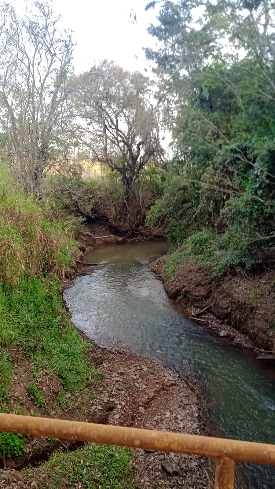 Chácara para Venda Centro, Patos de Minas