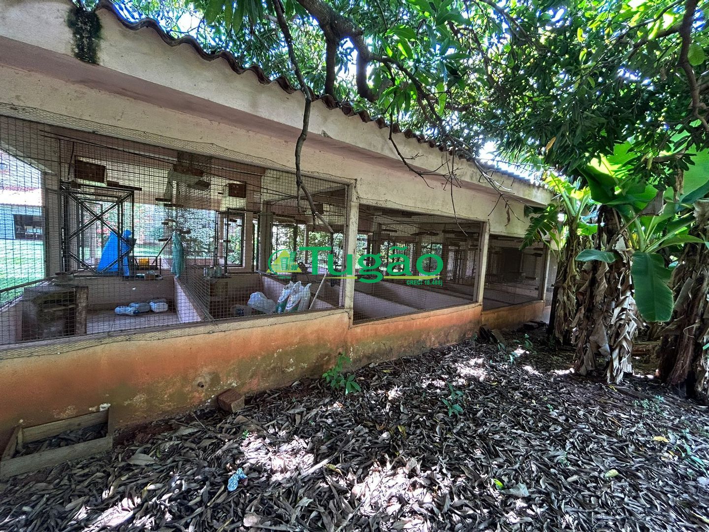 Fazenda / Sítio / Chácara com 3 quartos à venda, 550m² — foto 22 de 33