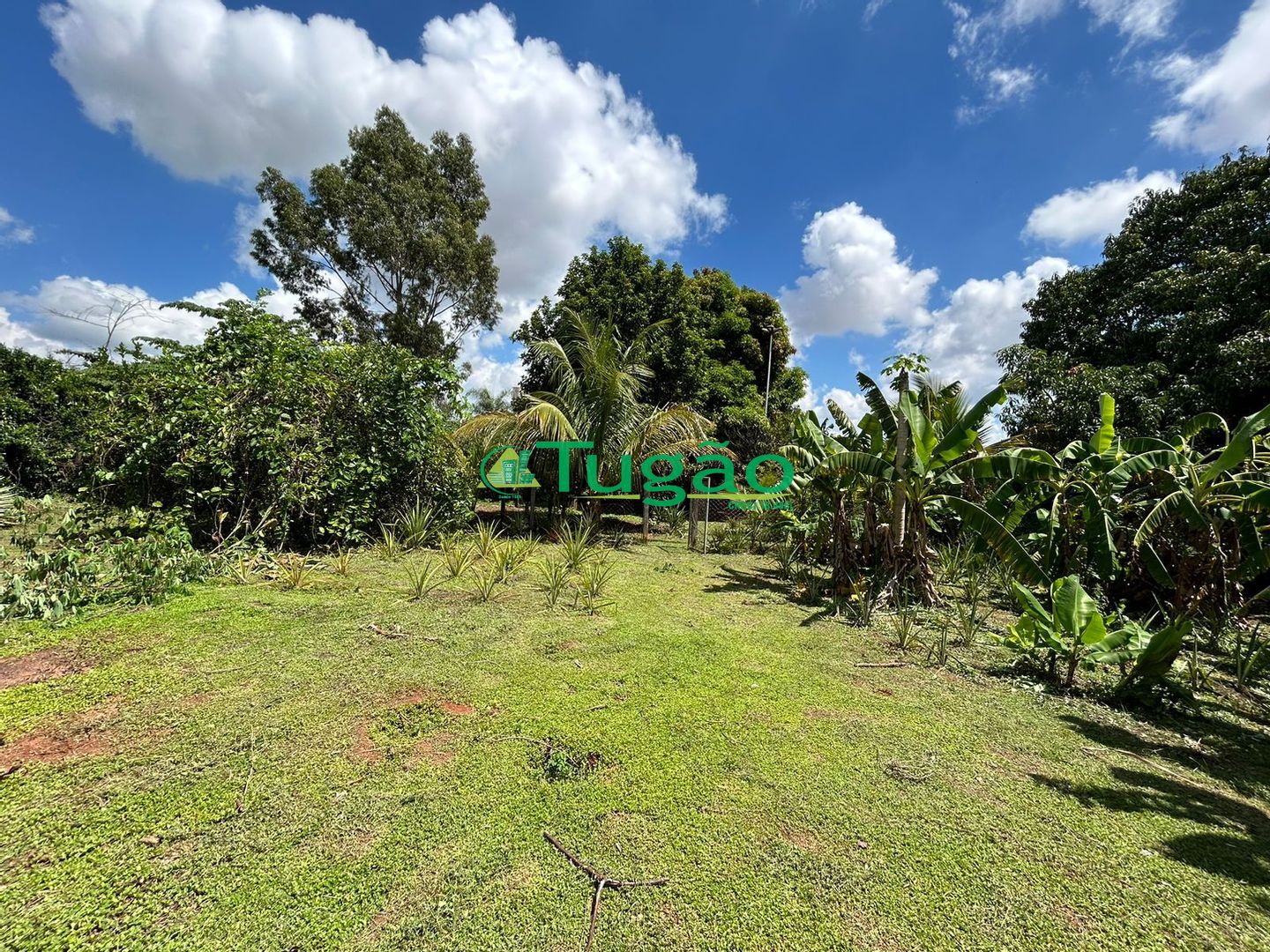 Fazenda / Sítio / Chácara com 3 quartos à venda, 550m² — foto 25 de 33