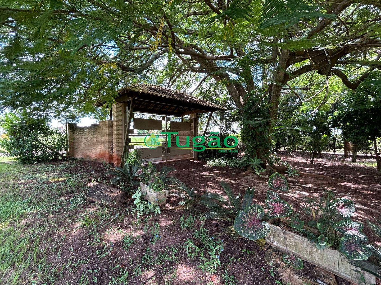 Fazenda / Sítio / Chácara com 3 quartos à venda, 550m² — foto 32 de 33