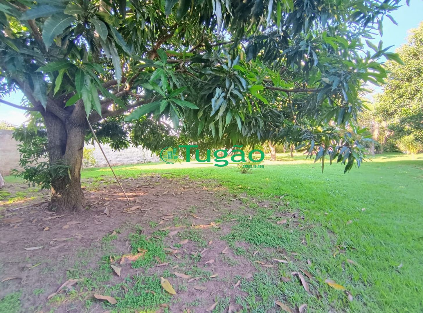 Fazenda / Sítio / Chácara com 6 quartos à venda, 750m² — foto 39 de 42