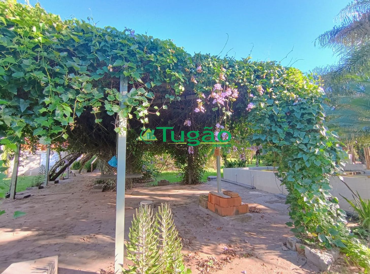 Fazenda / Sítio / Chácara com 6 quartos à venda, 750m² — foto 33 de 42