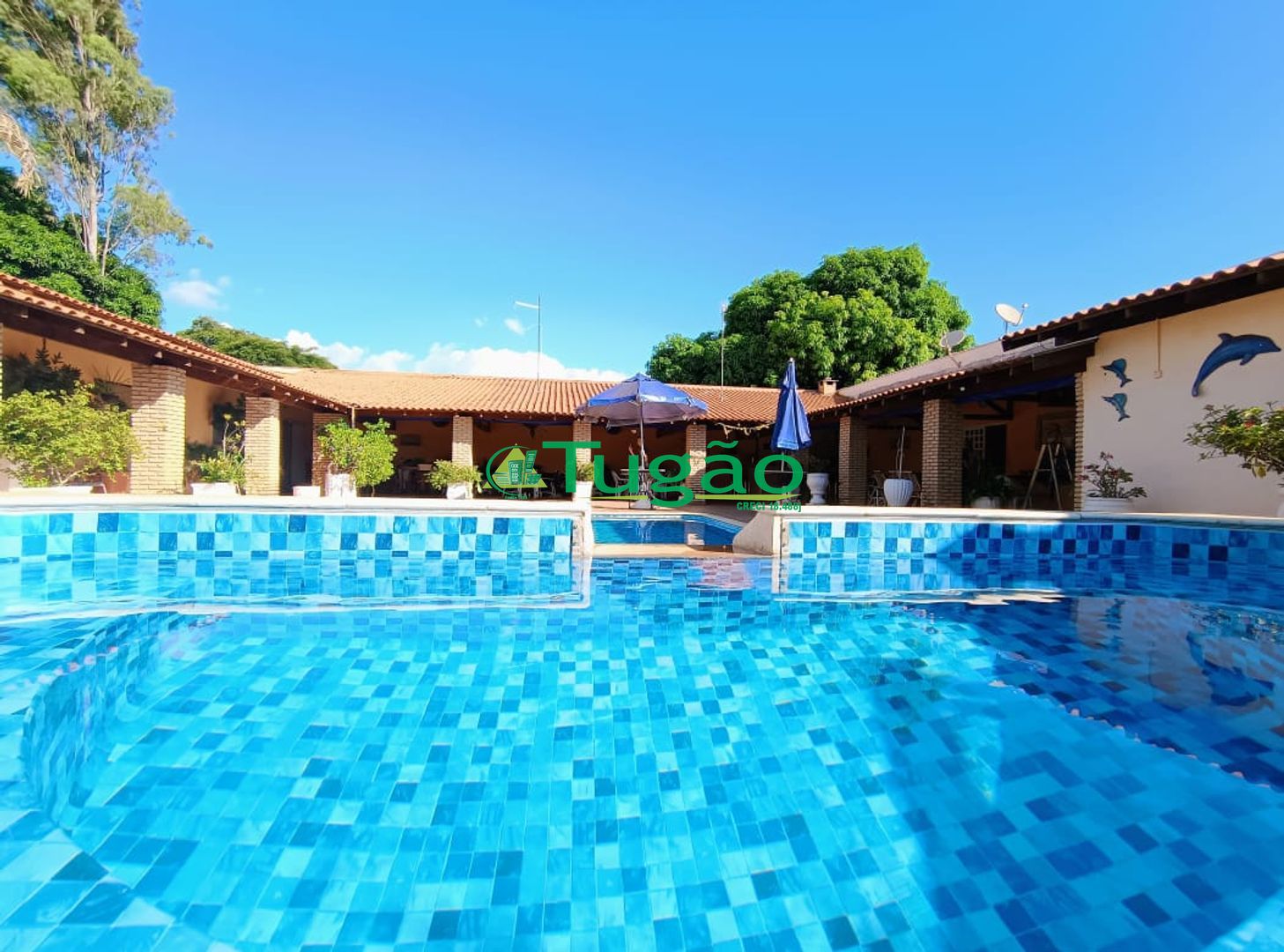 Fazenda / Sítio / Chácara com 6 quartos à venda, 750m² — foto 24 de 42