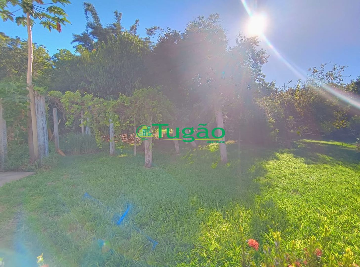 Fazenda / Sítio / Chácara com 6 quartos à venda, 750m² — foto 41 de 42