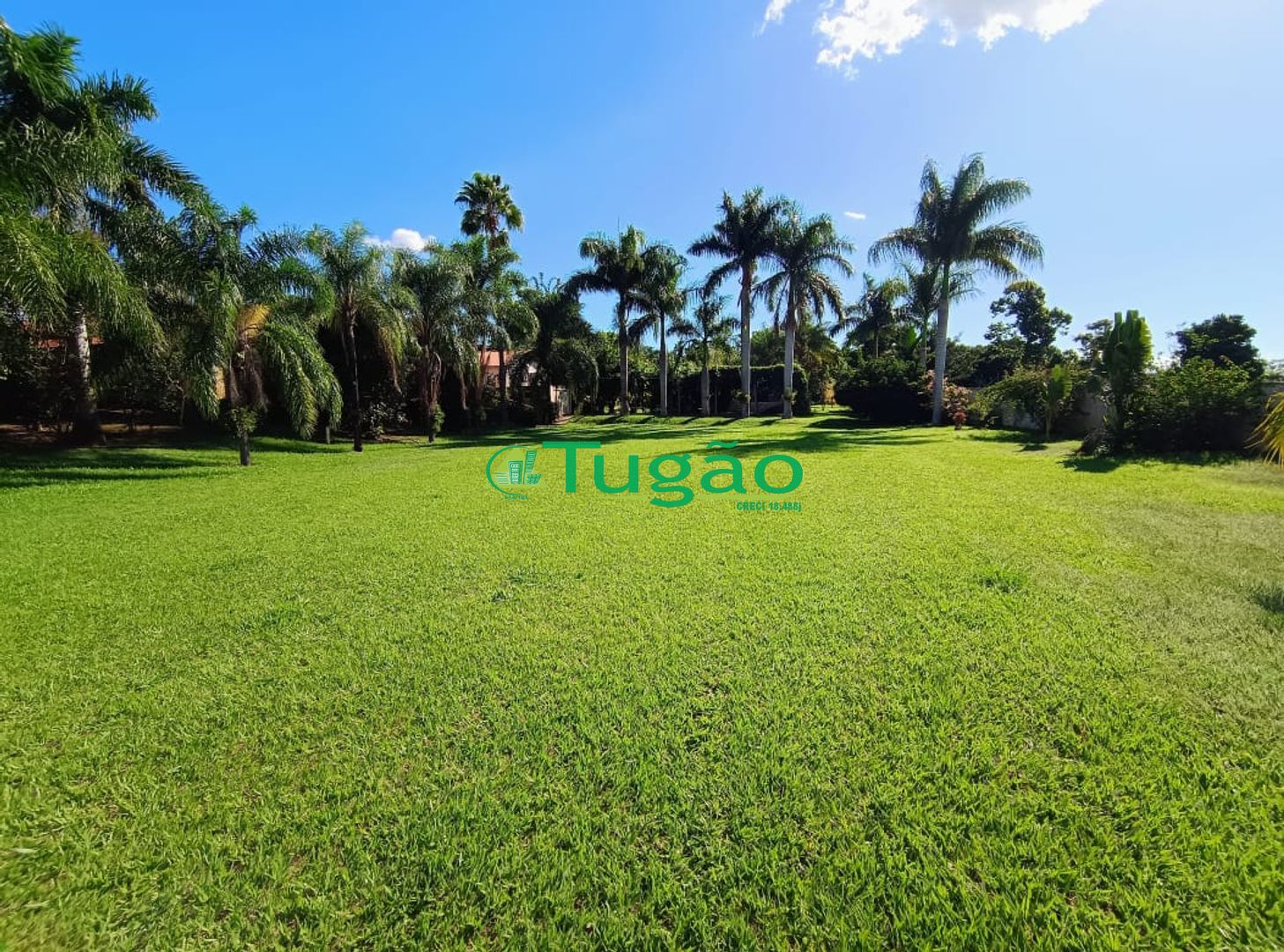 Fazenda / Sítio / Chácara com 6 quartos à venda, 750m² — foto 8 de 42