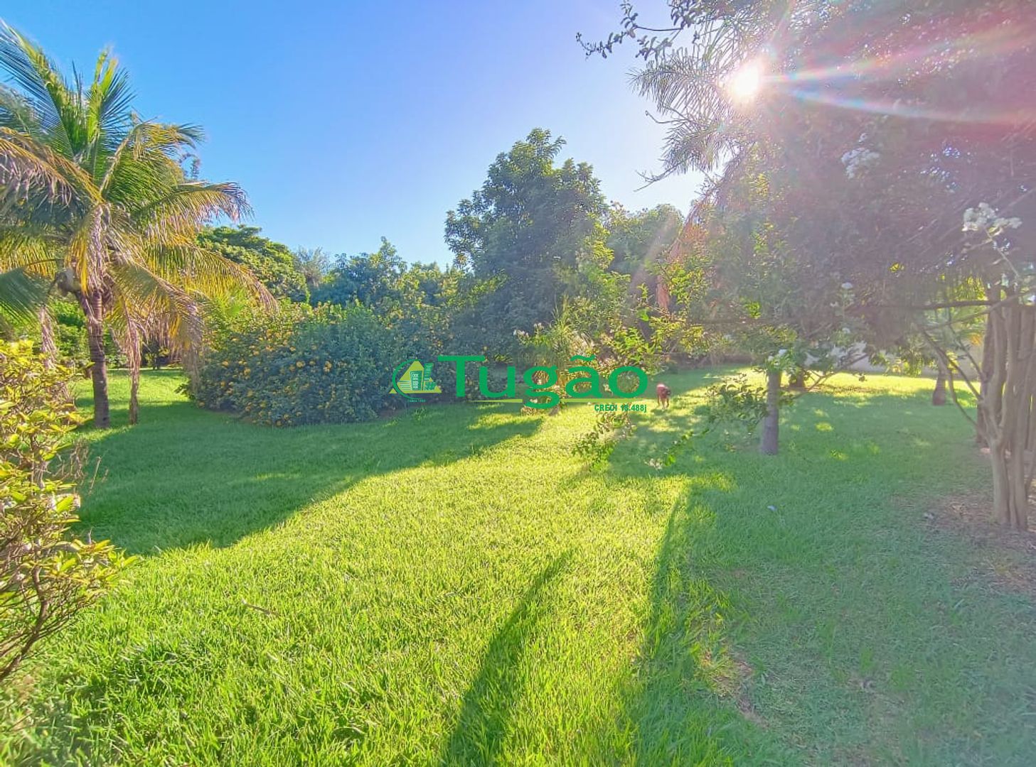 Fazenda / Sítio / Chácara com 6 quartos à venda, 750m² — foto 42 de 42