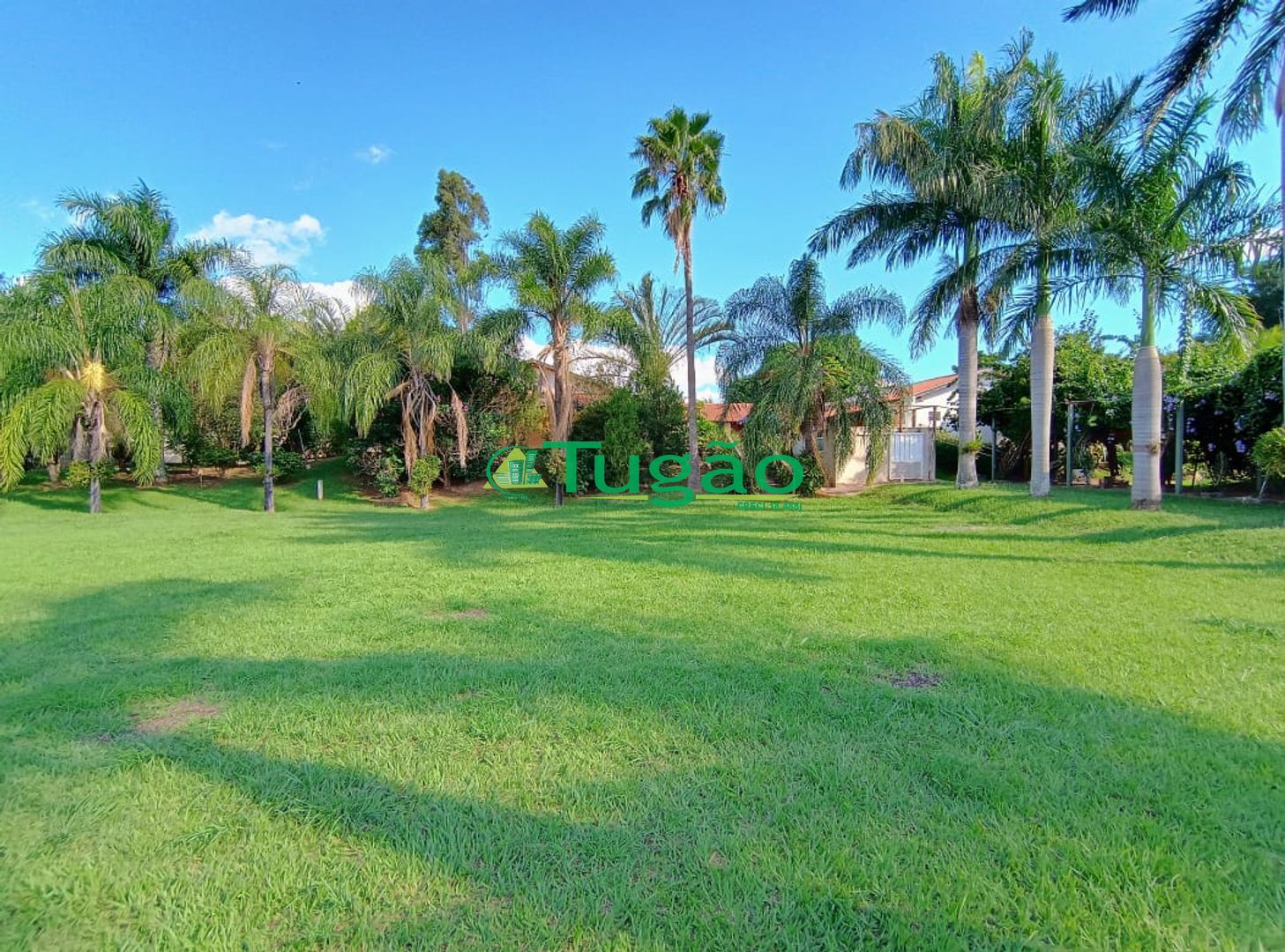 Fazenda / Sítio / Chácara com 6 quartos à venda, 750m² — foto 5 de 42