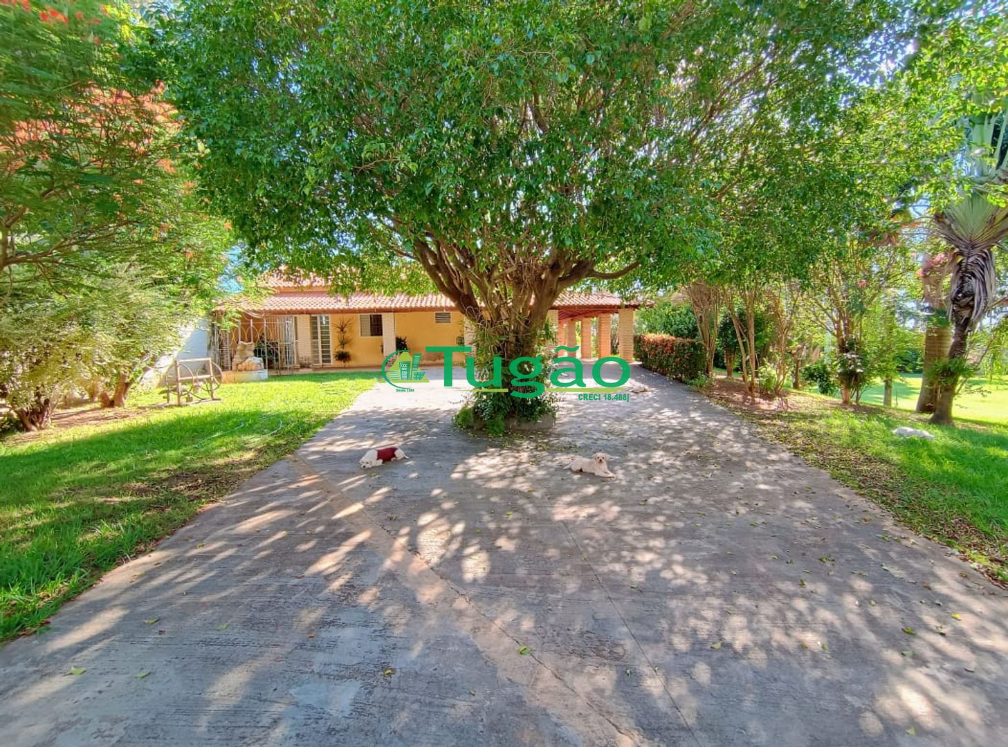 Fazenda / Sítio / Chácara com 6 quartos à venda, 750m² — foto 4 de 42
