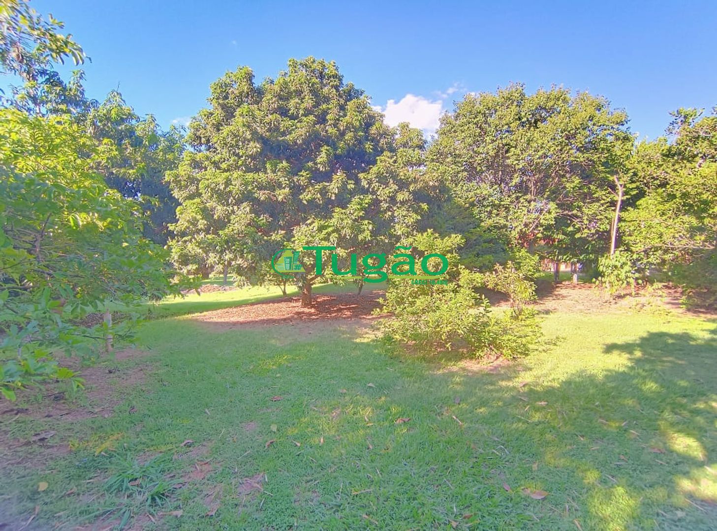 Fazenda / Sítio / Chácara com 6 quartos à venda, 750m² — foto 38 de 42