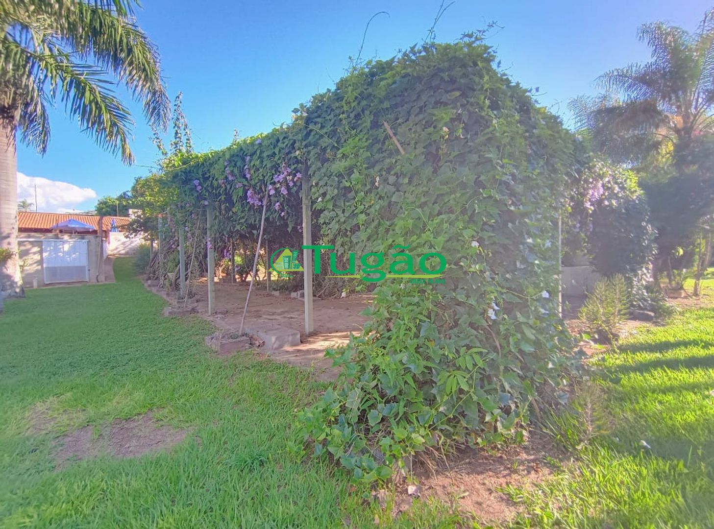 Fazenda / Sítio / Chácara com 6 quartos à venda, 750m² — foto 35 de 42