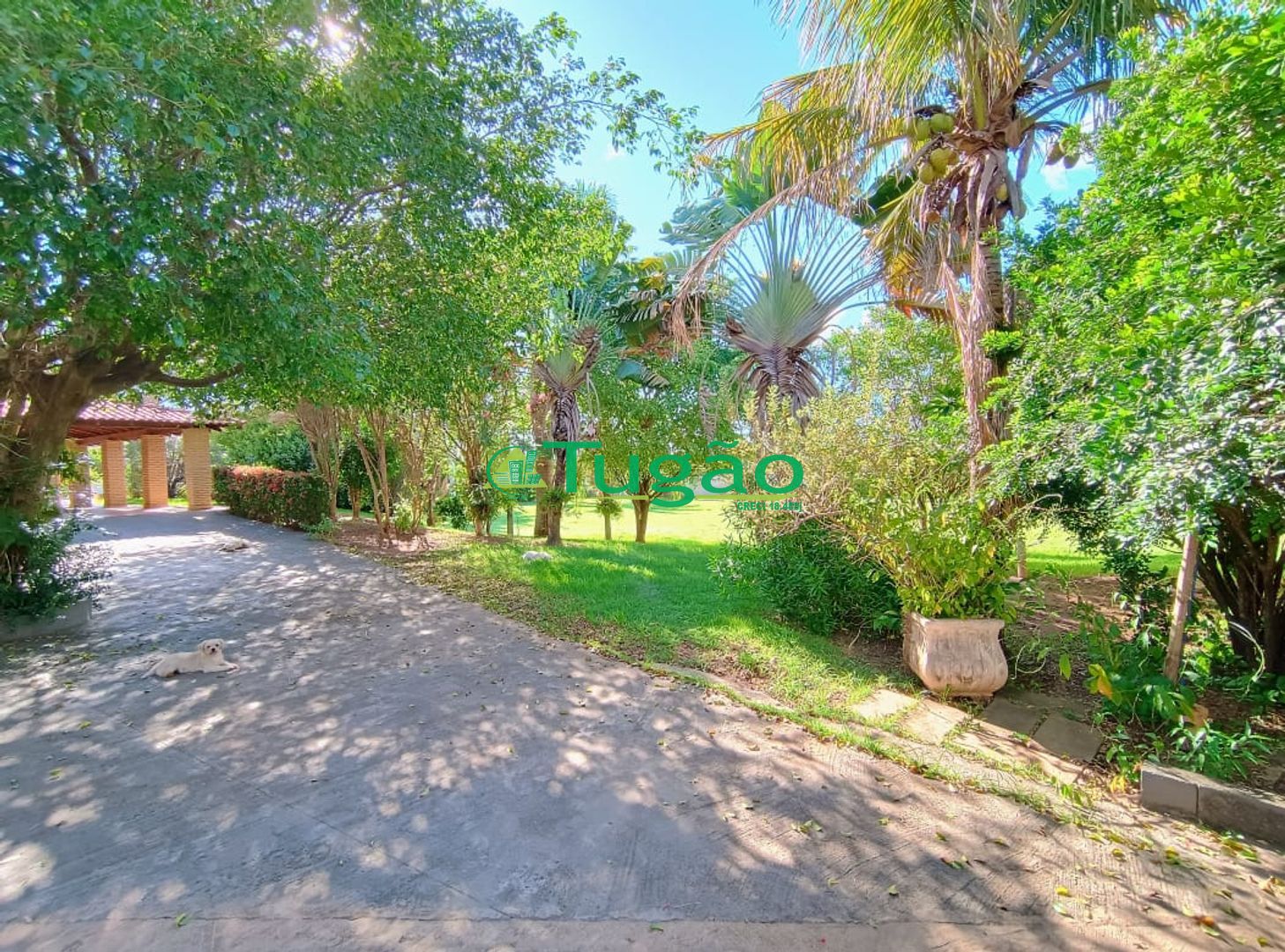 Fazenda / Sítio / Chácara com 6 quartos à venda, 750m² — foto 1 de 42