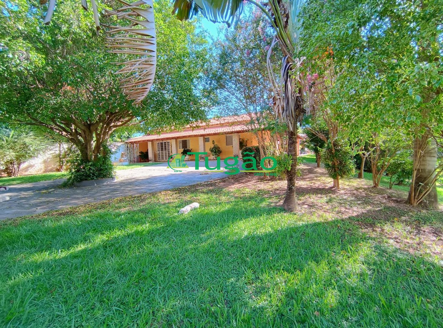 Fazenda / Sítio / Chácara com 6 quartos à venda, 750m² — foto 2 de 42