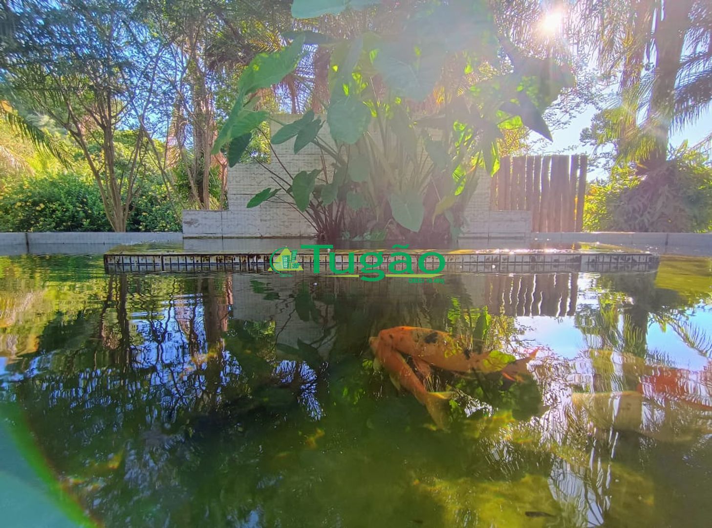 Fazenda / Sítio / Chácara com 6 quartos à venda, 750m² — foto 34 de 42