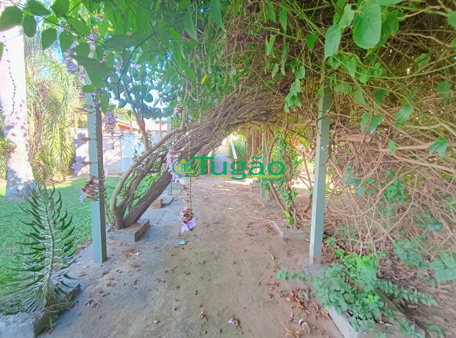 Fazenda / Sítio / Chácara com 6 quartos à venda, 750m² — foto 36 de 42