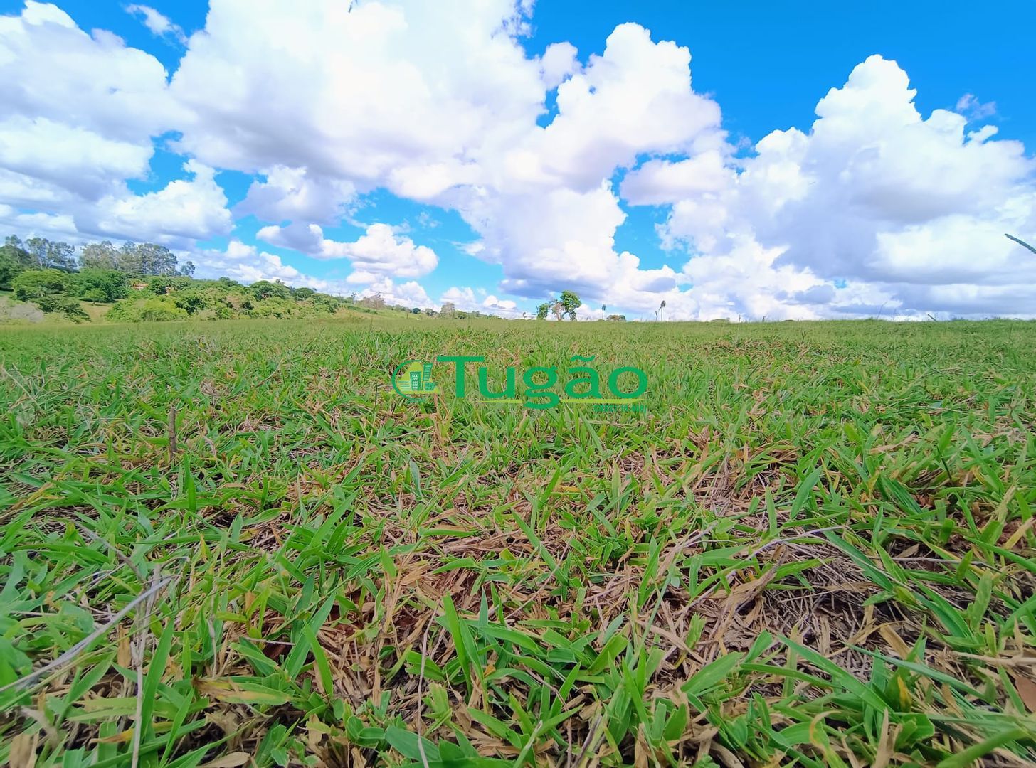 Fazenda / Sítio / Chácara  à venda, 218000m² — foto 2 de 2