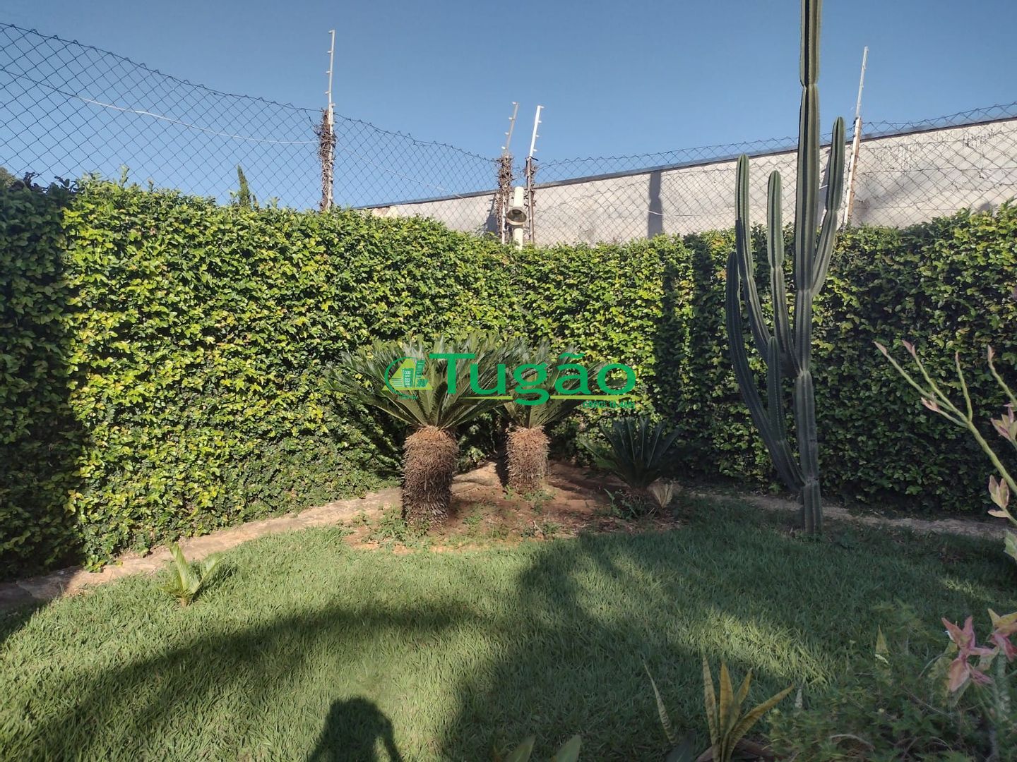 Casa com 3 quartos à venda, 380m² — foto 8 de 16