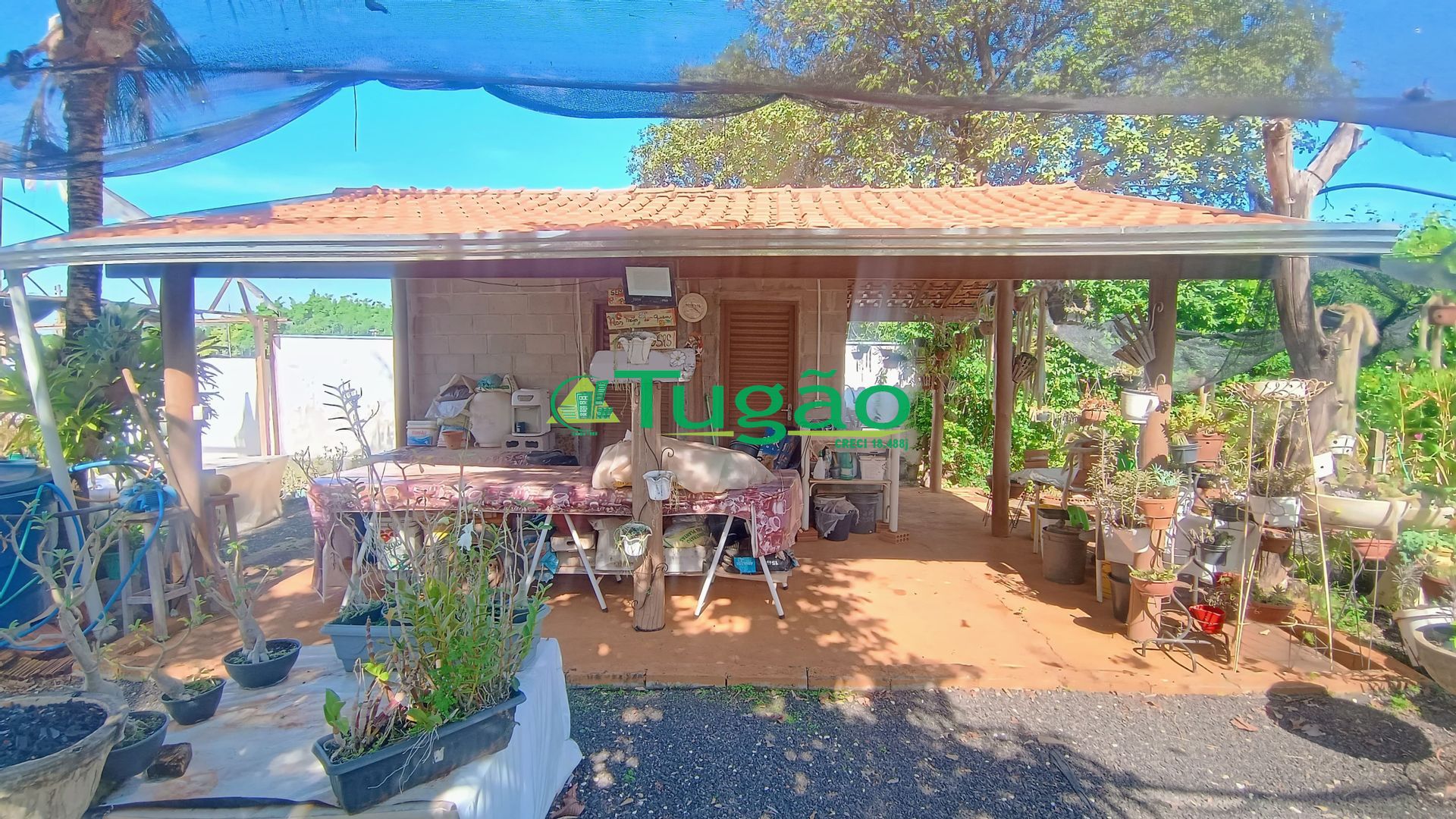 Fazenda / Sítio / Chácara com 6 quartos à venda, 1000m² — foto 23 de 41