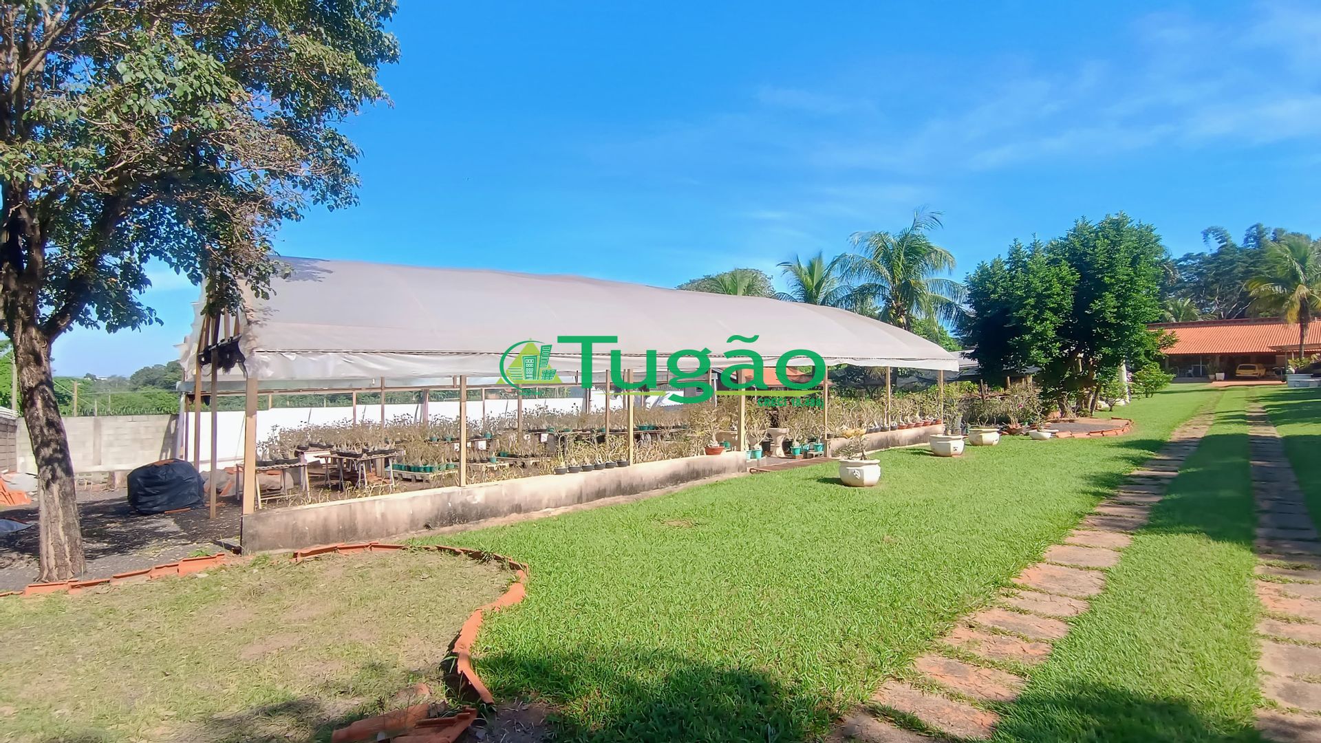 Fazenda / Sítio / Chácara com 6 quartos à venda, 1000m² — foto 18 de 41