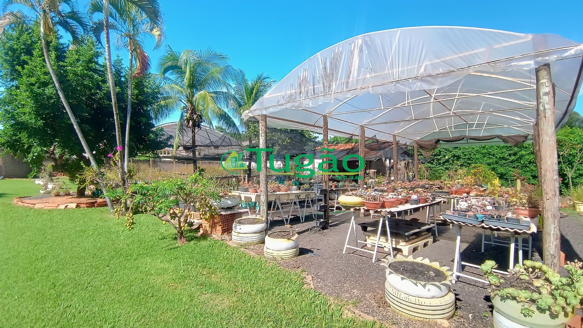 Fazenda / Sítio / Chácara com 6 quartos à venda, 1000m² — foto 22 de 41