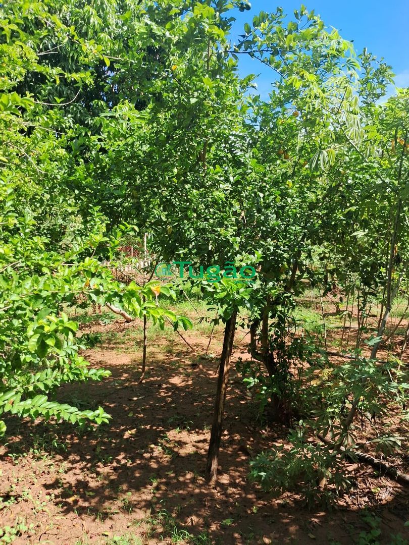 Fazenda / Sítio / Chácara com 3 quartos à venda, 260m² — foto 1 de 22