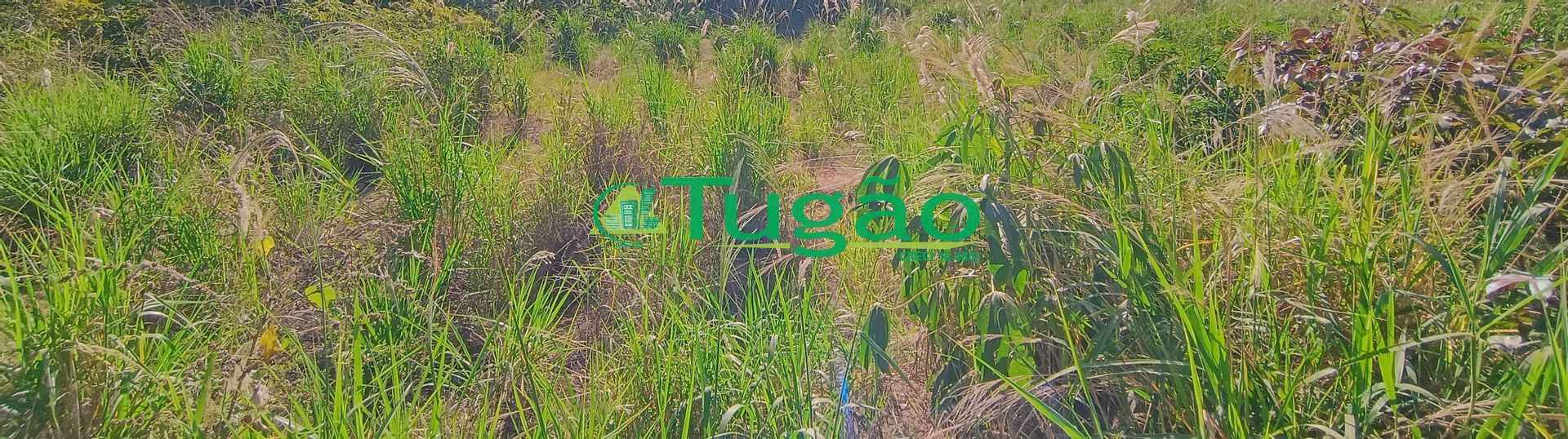 Fazenda / Sítio / Chácara  à venda, 1000m² — foto 1 de 1