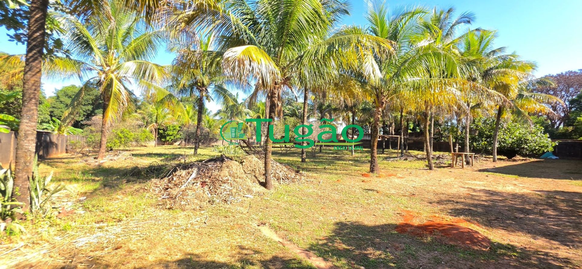 Fazenda / Sítio / Chácara com 3 quartos à venda, 490m² — foto 7 de 27