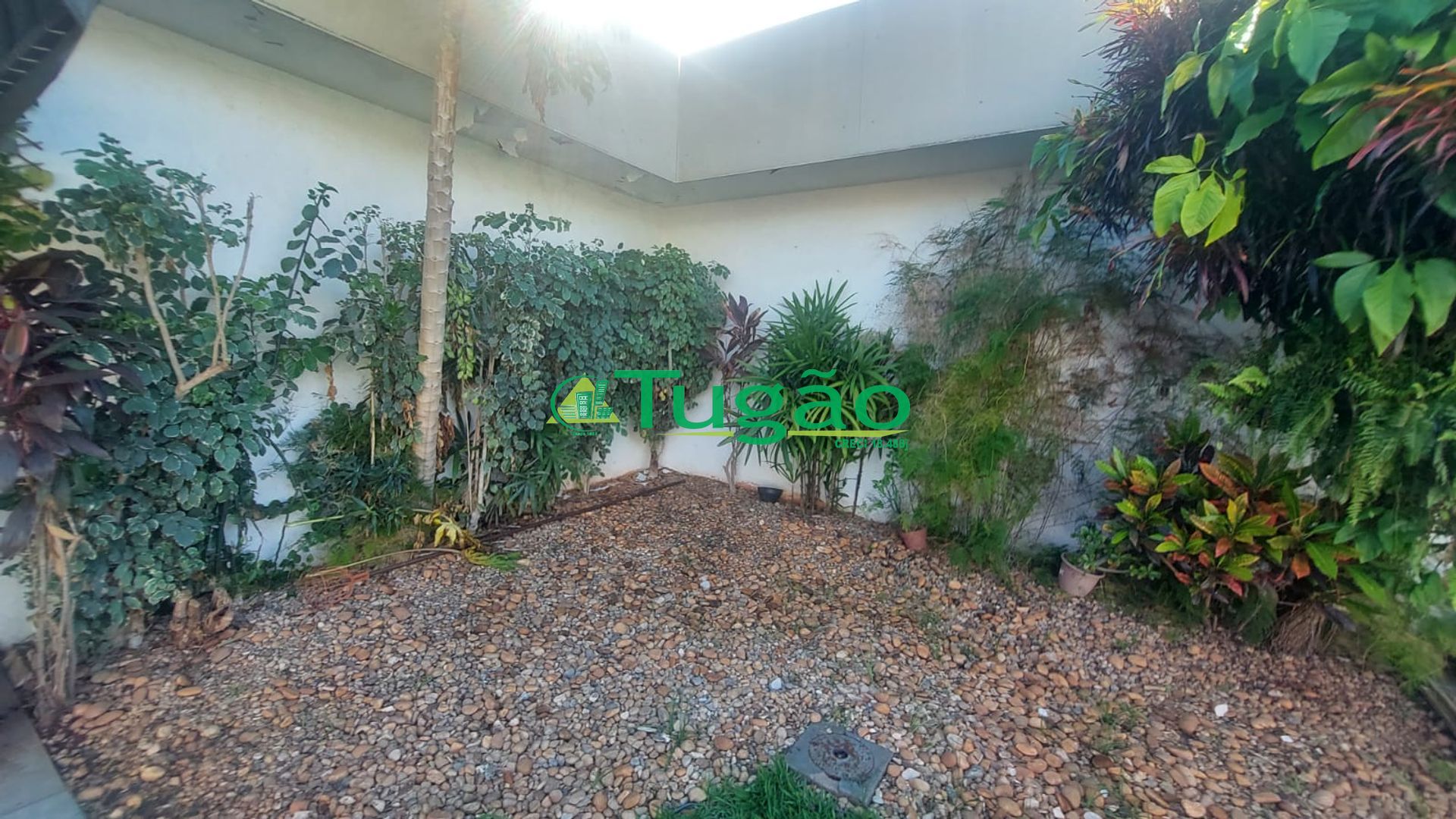 Casa com 6 quartos para aluguel, 600m² — foto 14 de 24