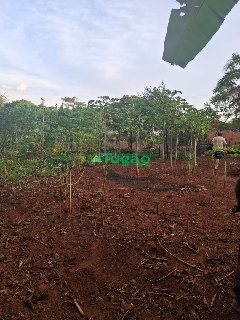 Fazenda / Sítio / Chácara  à venda, 1000m² — foto 3 de 7
