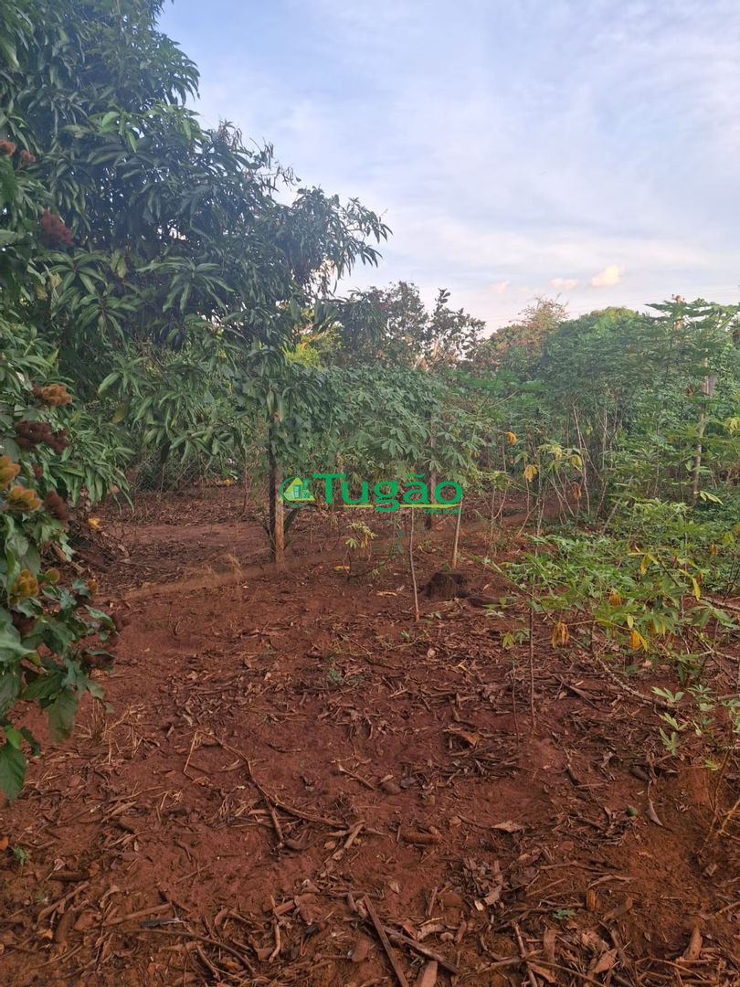 Fazenda / Sítio / Chácara  à venda, 1000m² — foto 4 de 7