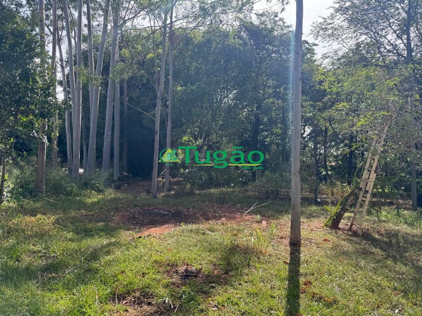 Fazenda / Sítio / Chácara com 3 quartos à venda, 300m² — foto 8 de 13