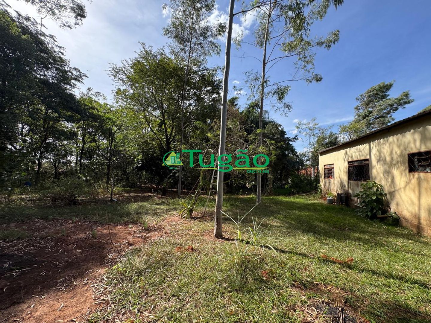 Fazenda / Sítio / Chácara com 3 quartos à venda, 300m² — foto 3 de 13