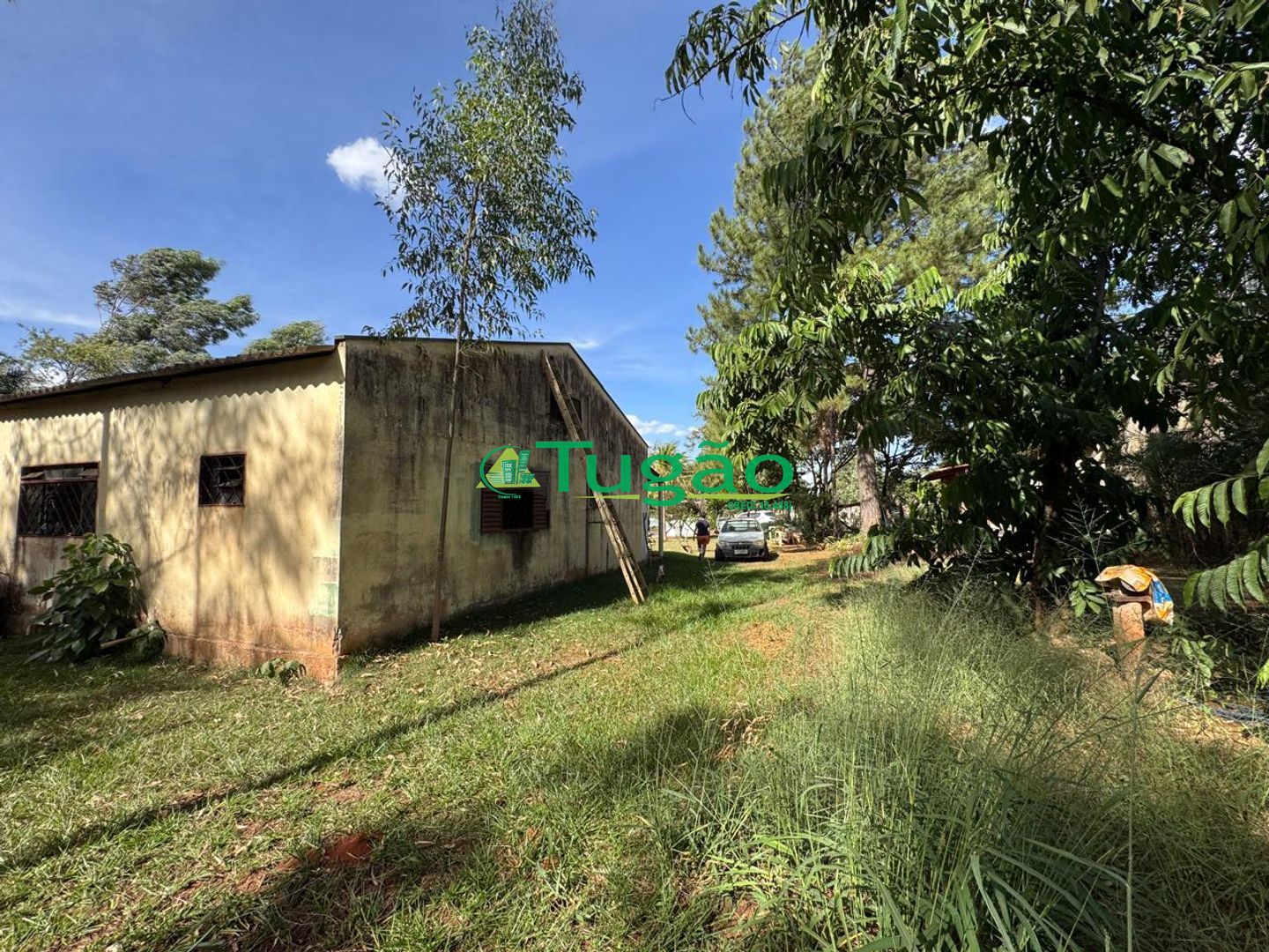 Fazenda / Sítio / Chácara com 3 quartos à venda, 300m² — foto 4 de 13