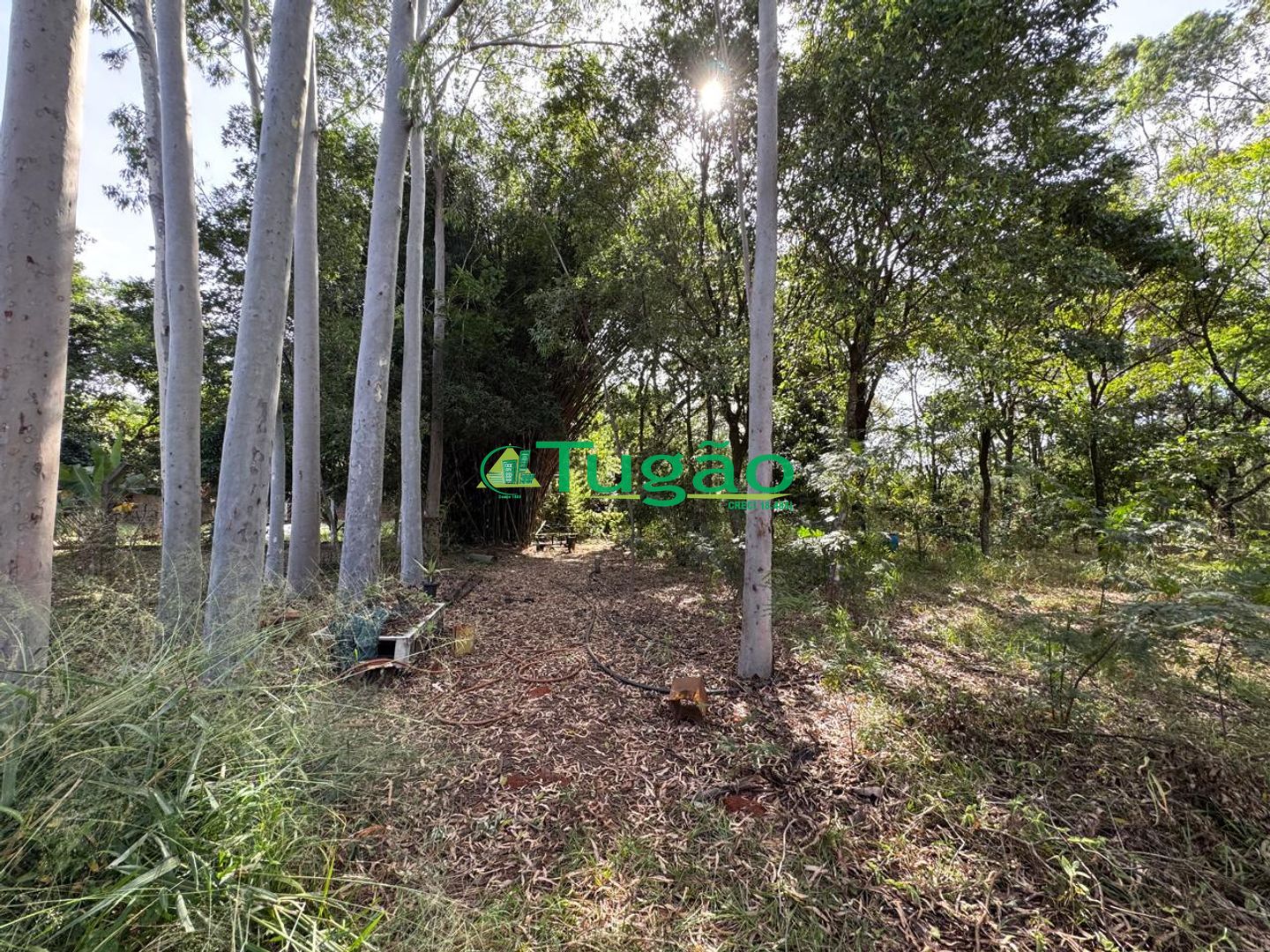 Fazenda / Sítio / Chácara com 3 quartos à venda, 300m² — foto 2 de 13