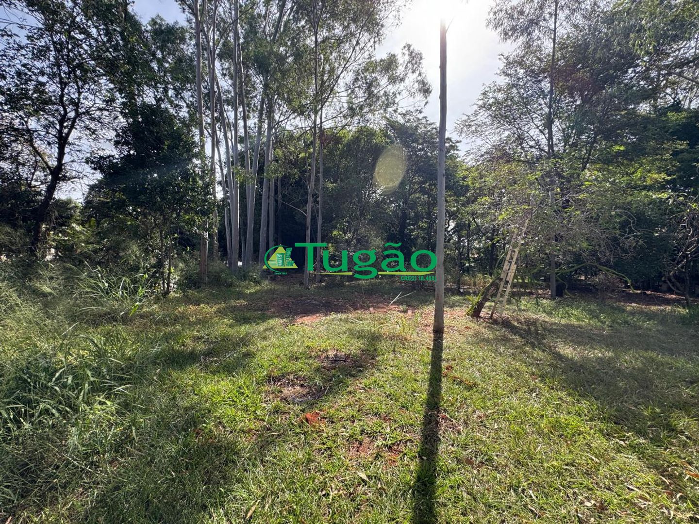 Fazenda / Sítio / Chácara com 3 quartos à venda, 300m² — foto 7 de 13