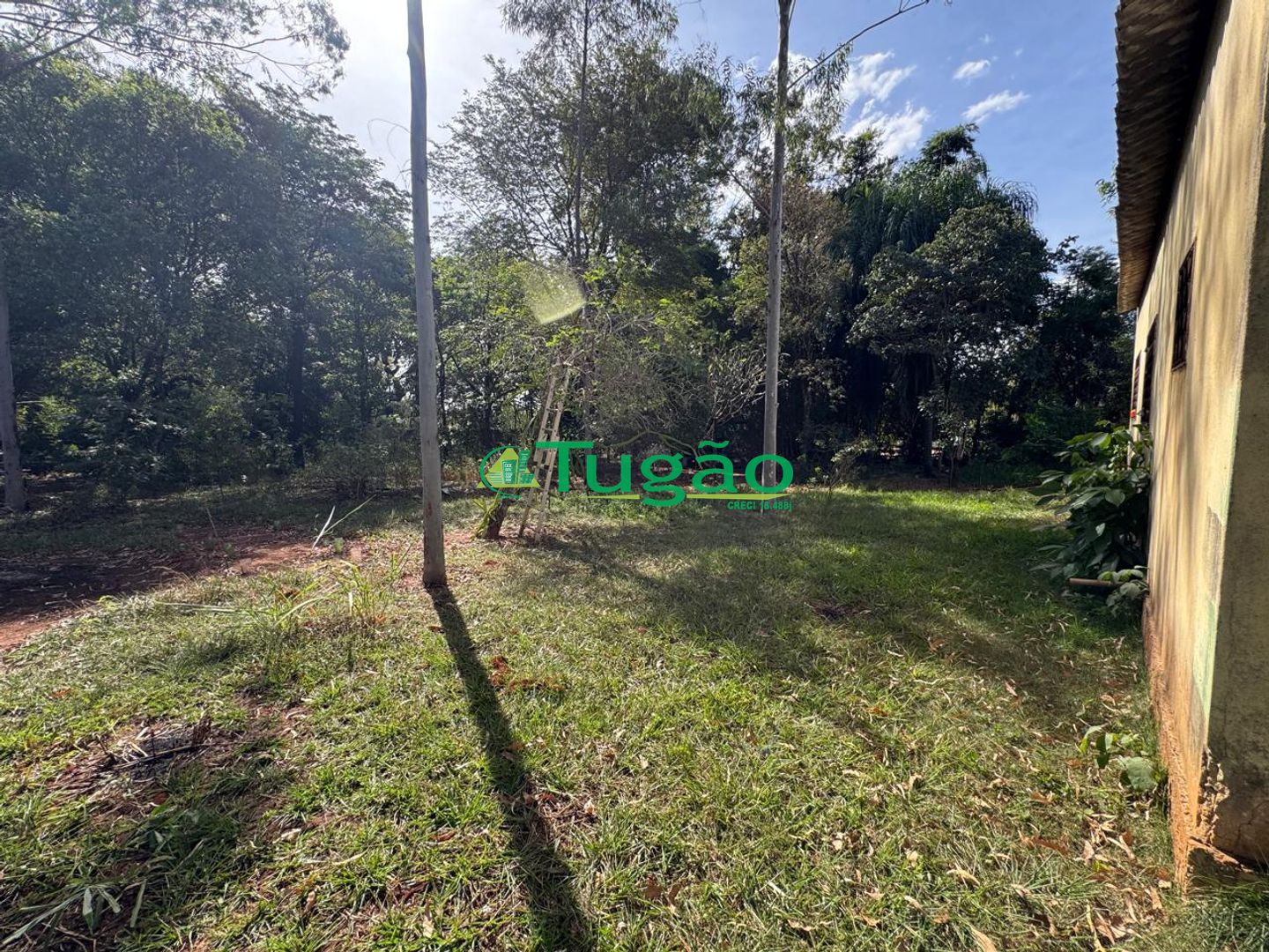 Fazenda / Sítio / Chácara com 3 quartos à venda, 300m² — foto 6 de 13