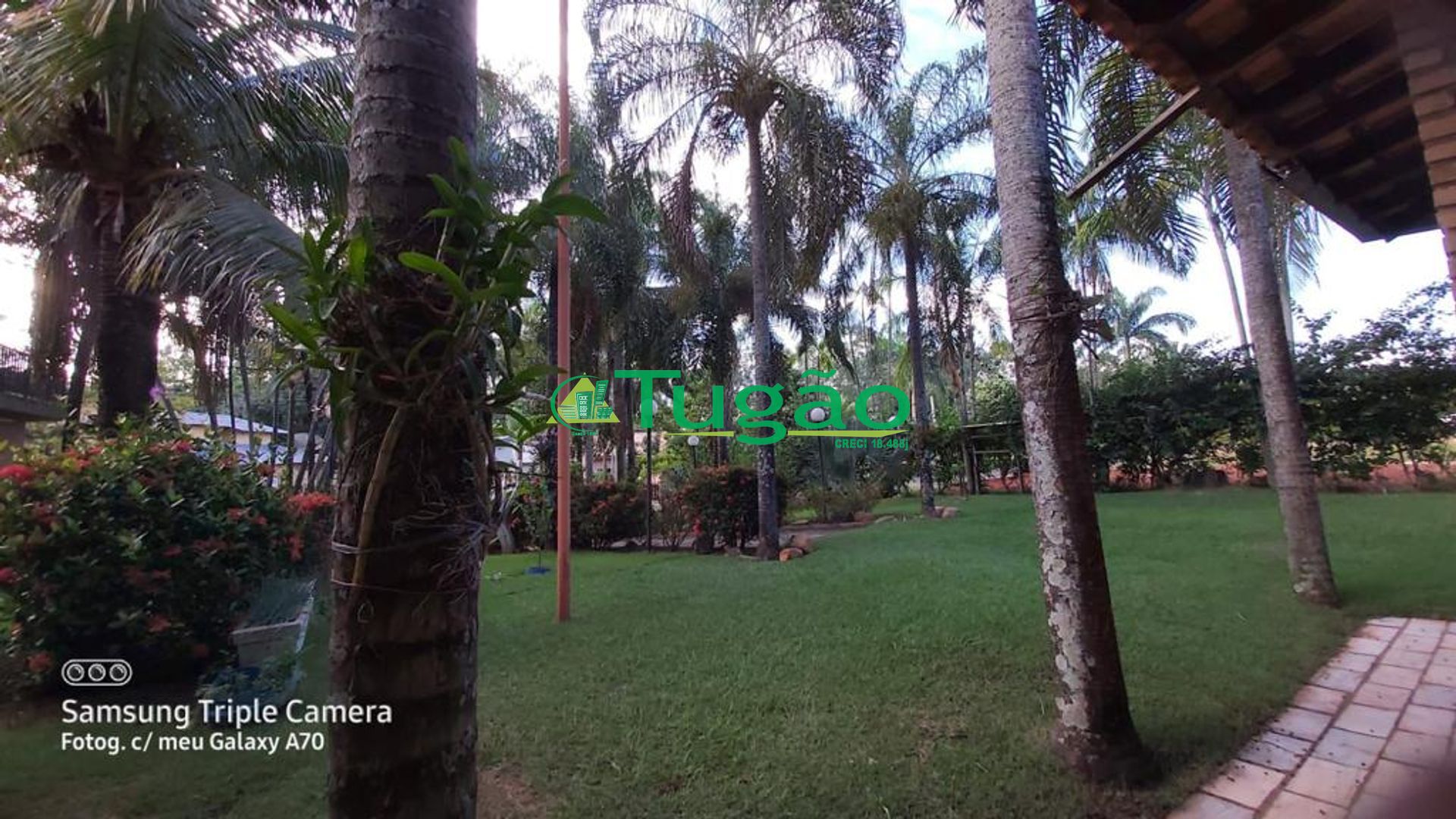 Fazenda / Sítio / Chácara com 4 quartos à venda, 450m² — foto 4 de 46