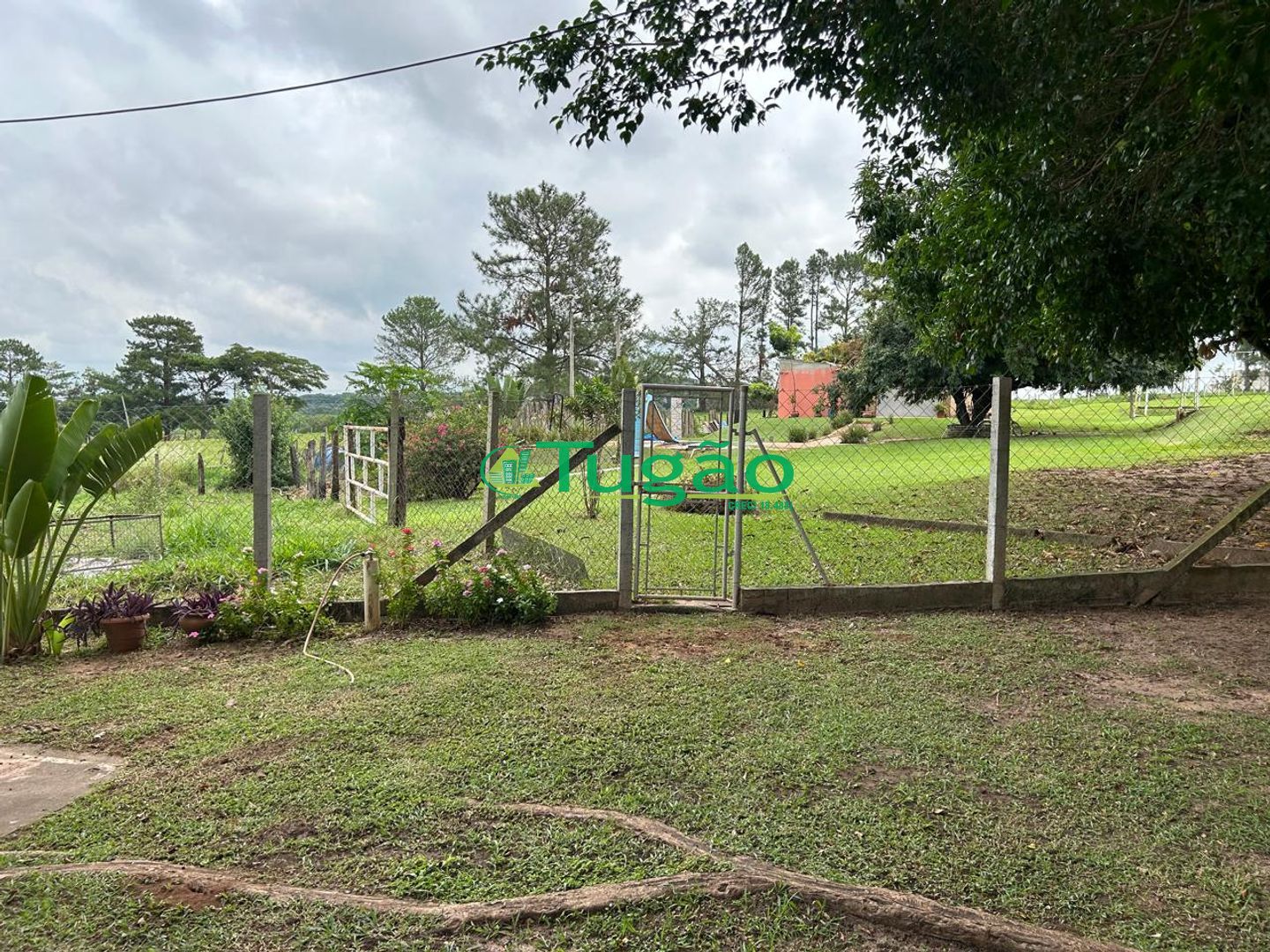 Fazenda / Sítio / Chácara com 4 quartos à venda, 20000000m² — foto 25 de 42