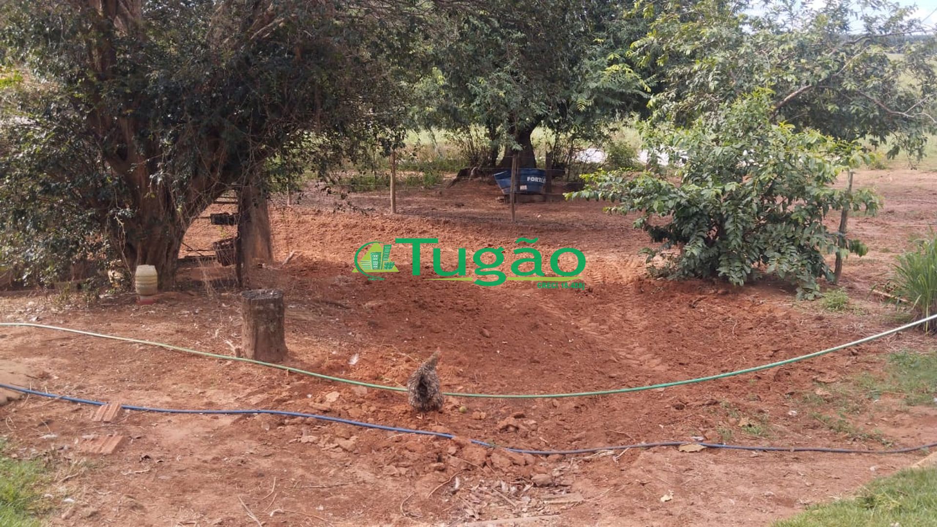 Fazenda / Sítio / Chácara com 3 quartos à venda, 2710400m² — foto 17 de 23