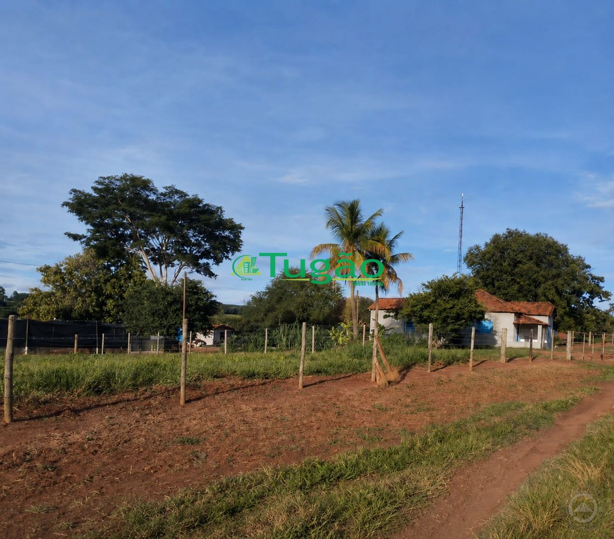 Fazenda / Sítio / Chácara com 3 quartos à venda, 2710400m² — foto 21 de 23