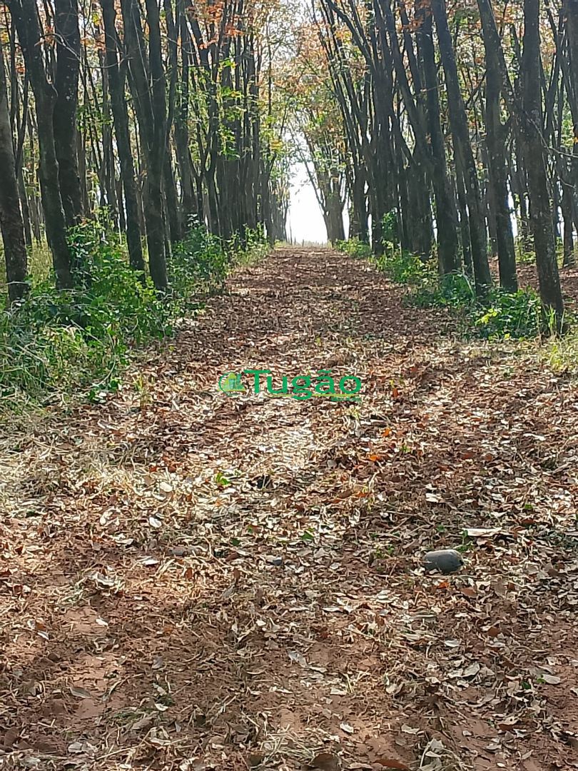 Fazenda / Sítio / Chácara com 3 quartos à venda, 2710400m² — foto 1 de 23