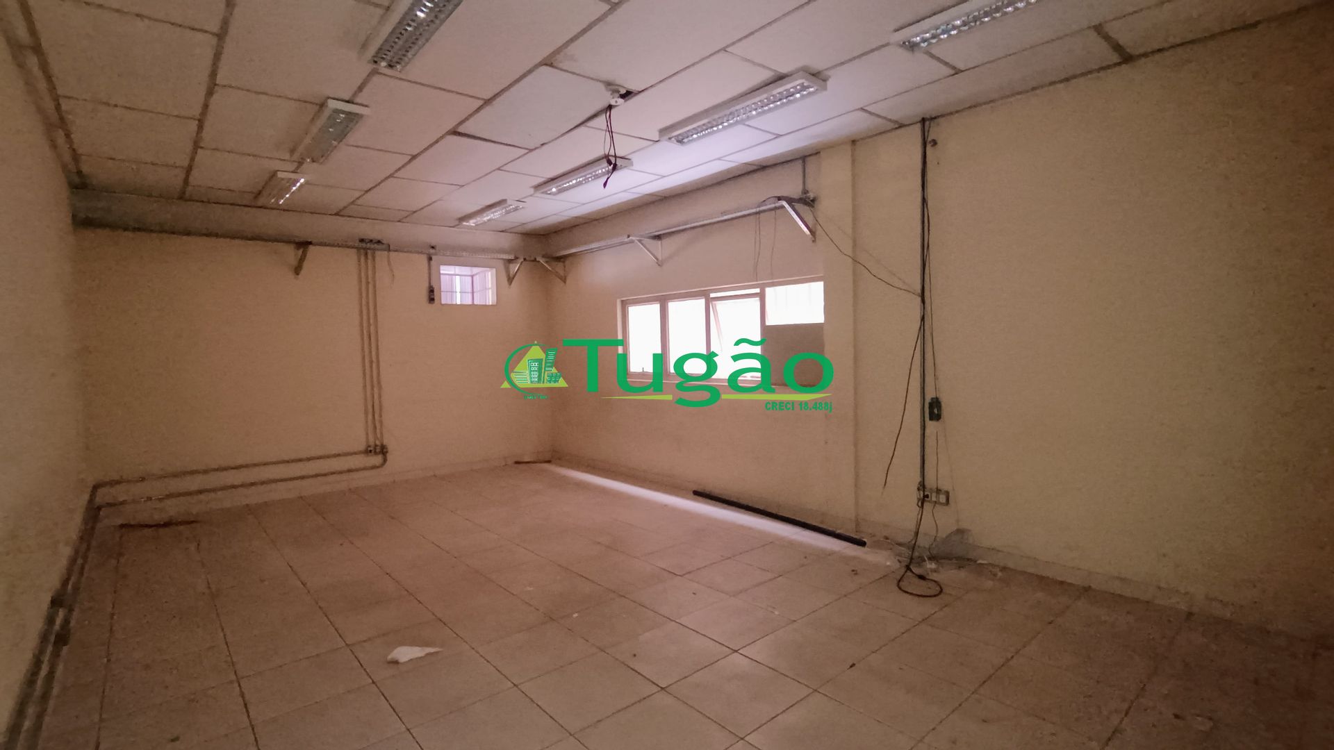 Loja / Salão / Ponto Comercial  para aluguel, 4521m² — foto 14 de 38