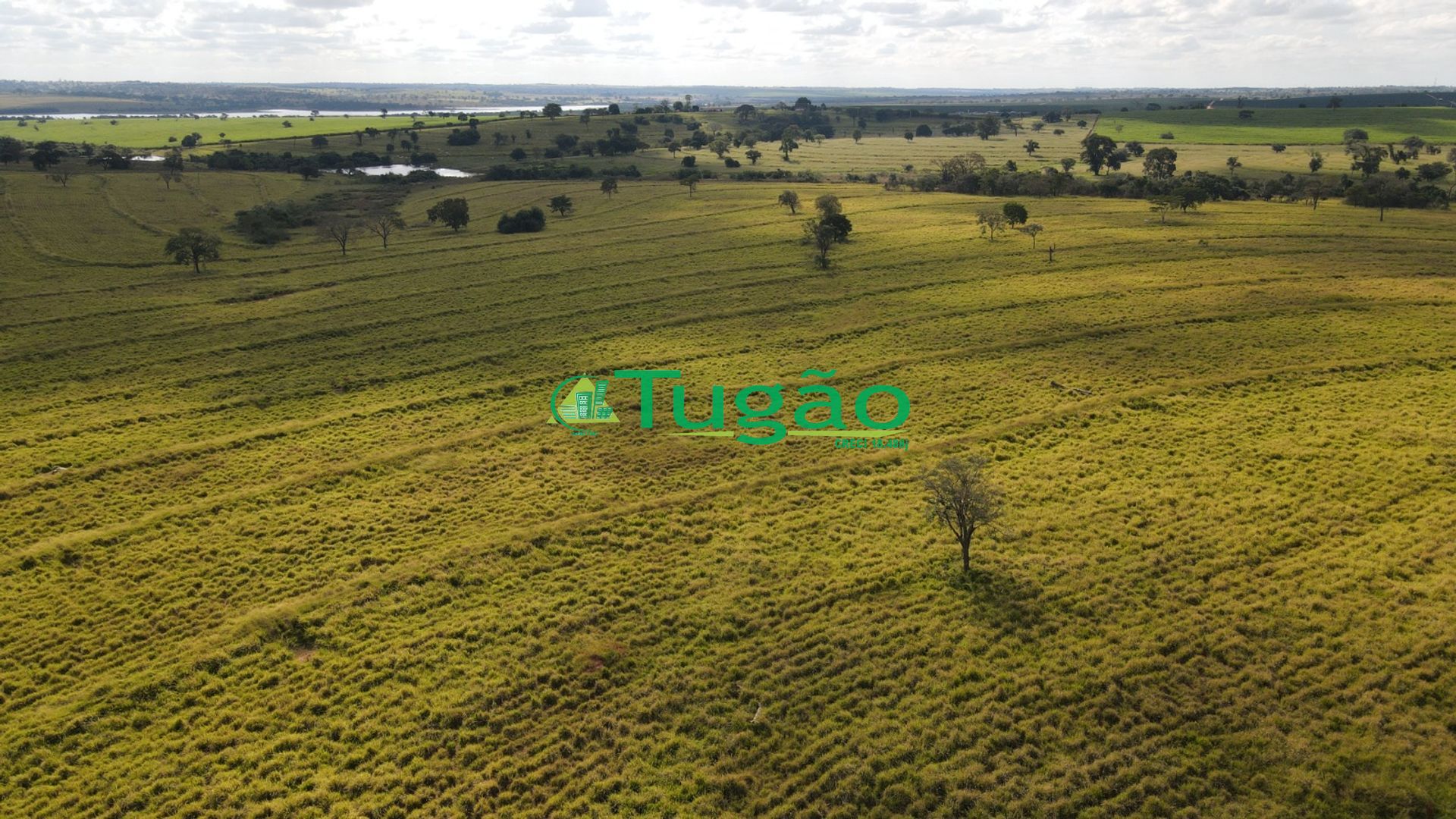 Fazenda / Sítio / Chácara  à venda, 3143183m² — foto 31 de 50
