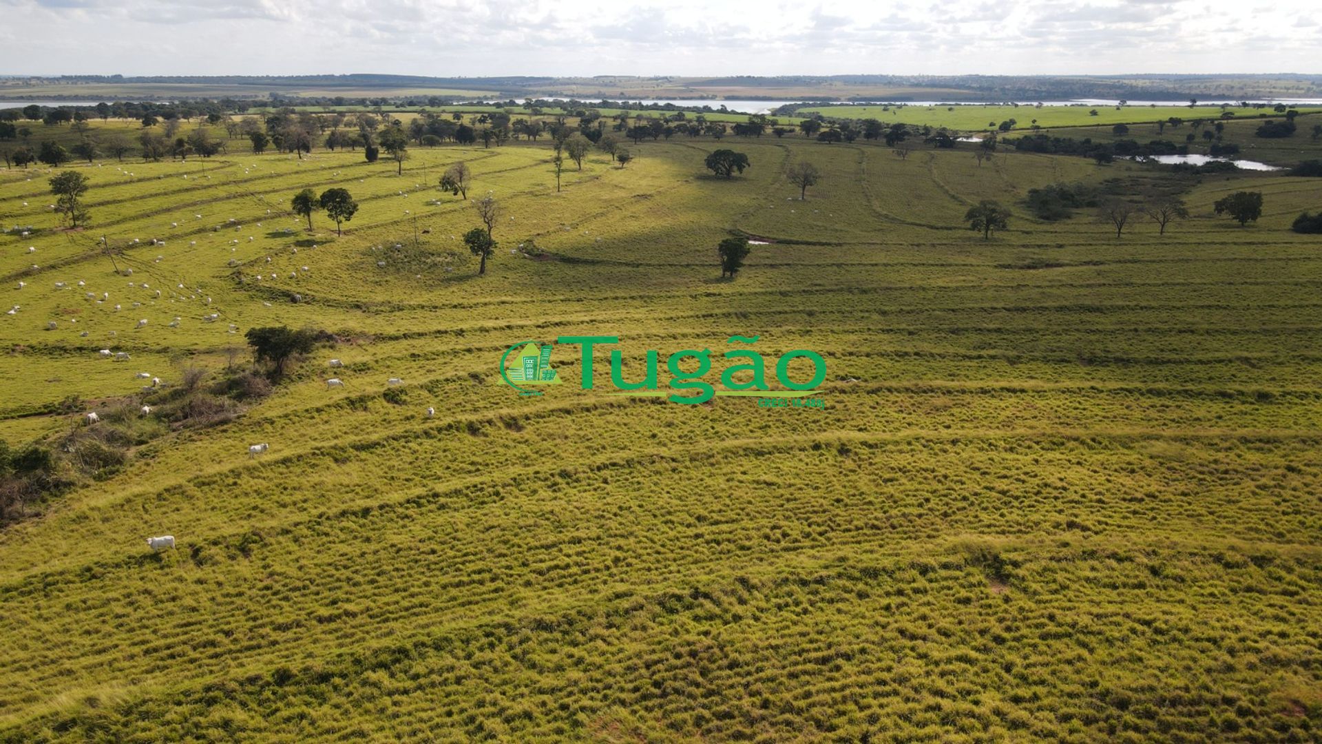 Fazenda / Sítio / Chácara  à venda, 3143183m² — foto 32 de 50