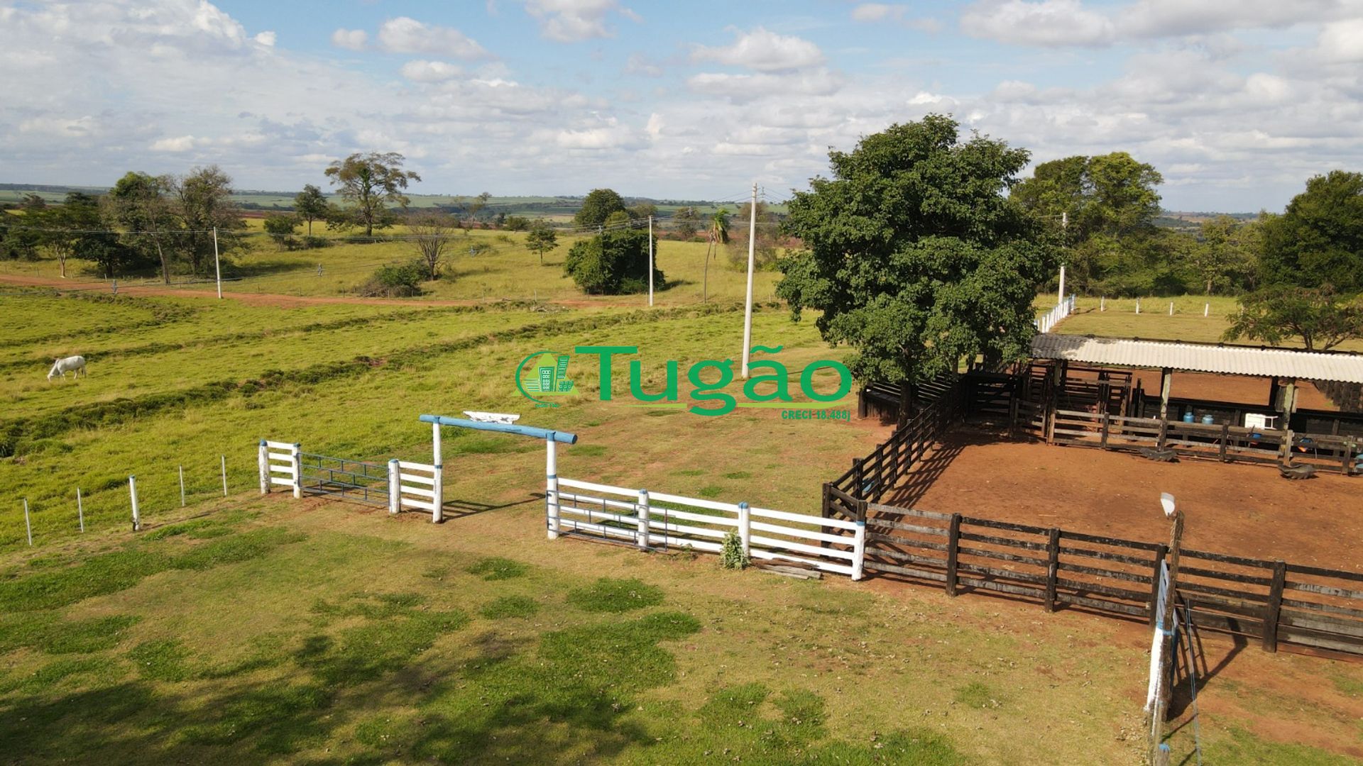 Fazenda / Sítio / Chácara  à venda, 3143183m² — foto 9 de 50