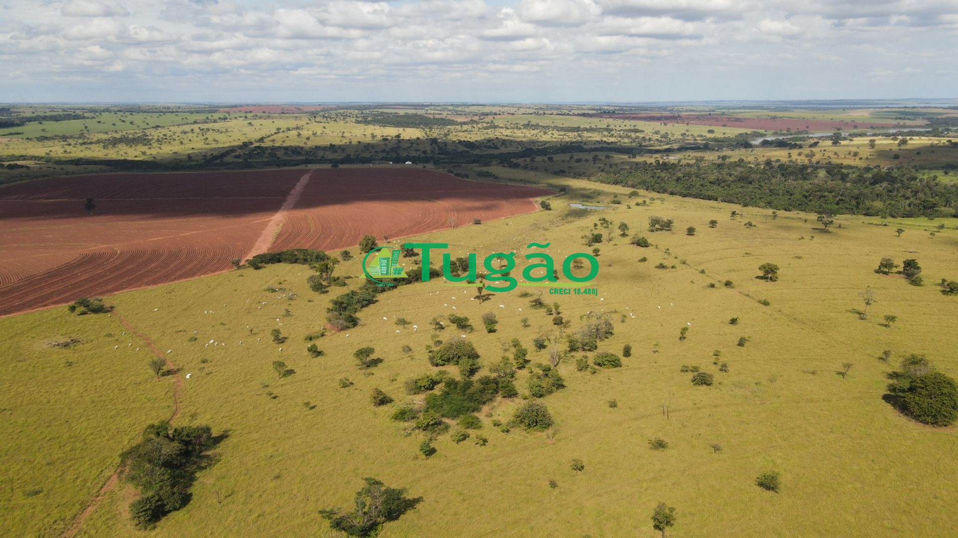 Fazenda / Sítio / Chácara  à venda, 3143183m² — foto 42 de 50