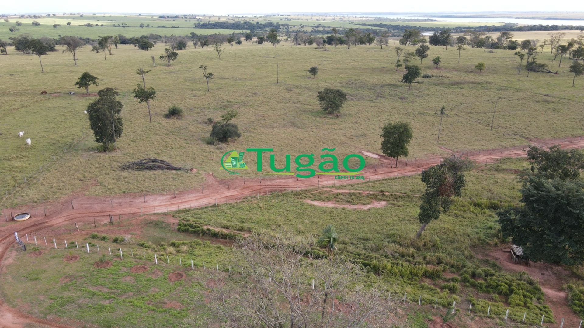Fazenda / Sítio / Chácara  à venda, 3143183m² — foto 28 de 50