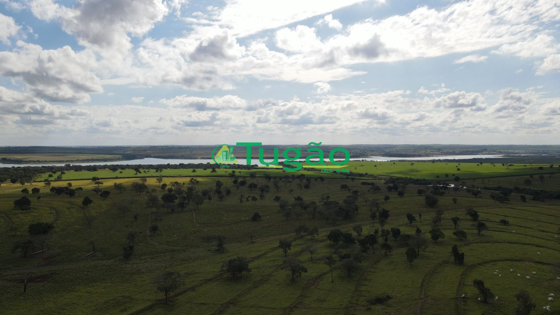 Fazenda / Sítio / Chácara  à venda, 3143183m² — foto 16 de 50