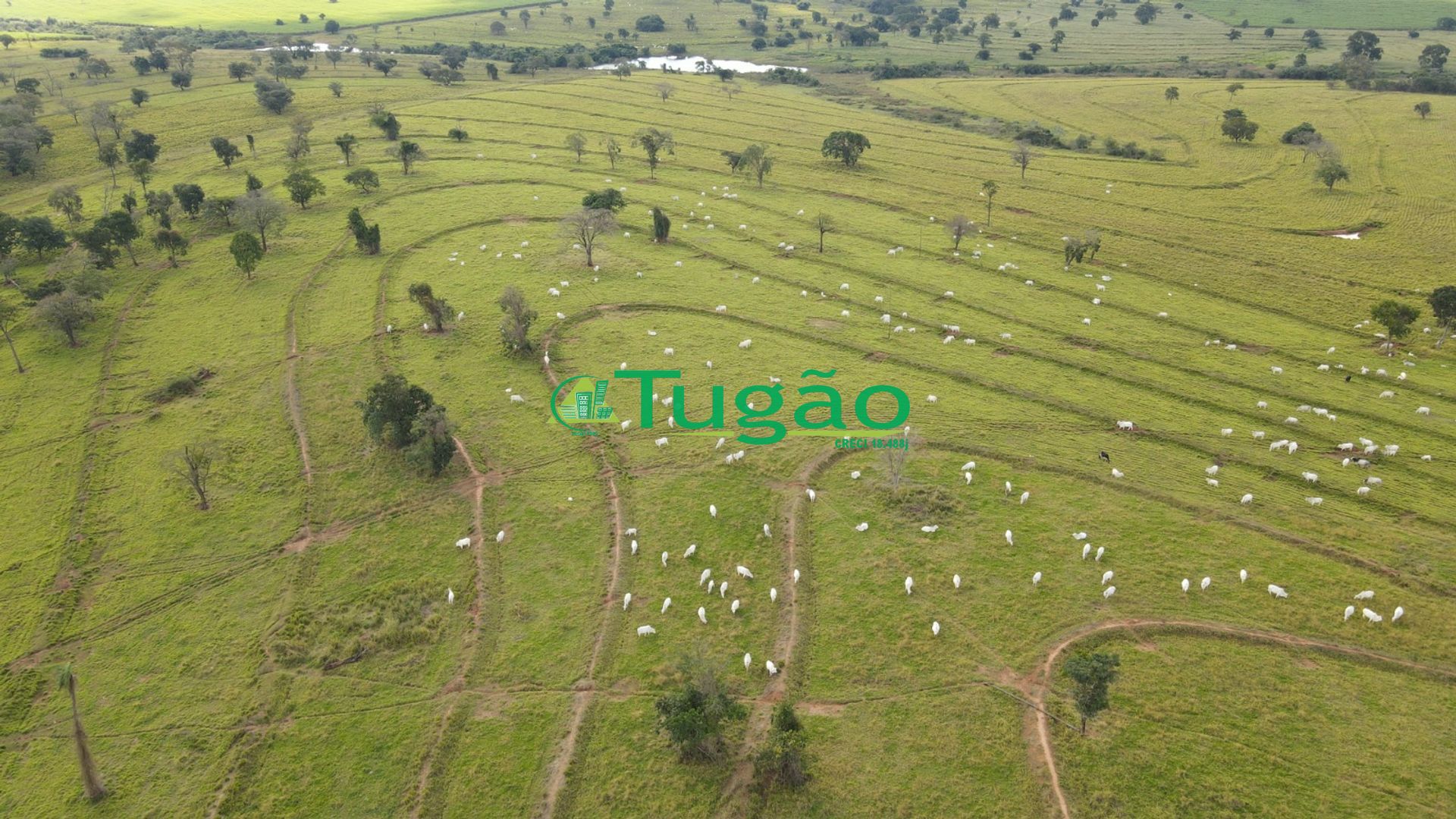 Fazenda / Sítio / Chácara  à venda, 3143183m² — foto 21 de 50