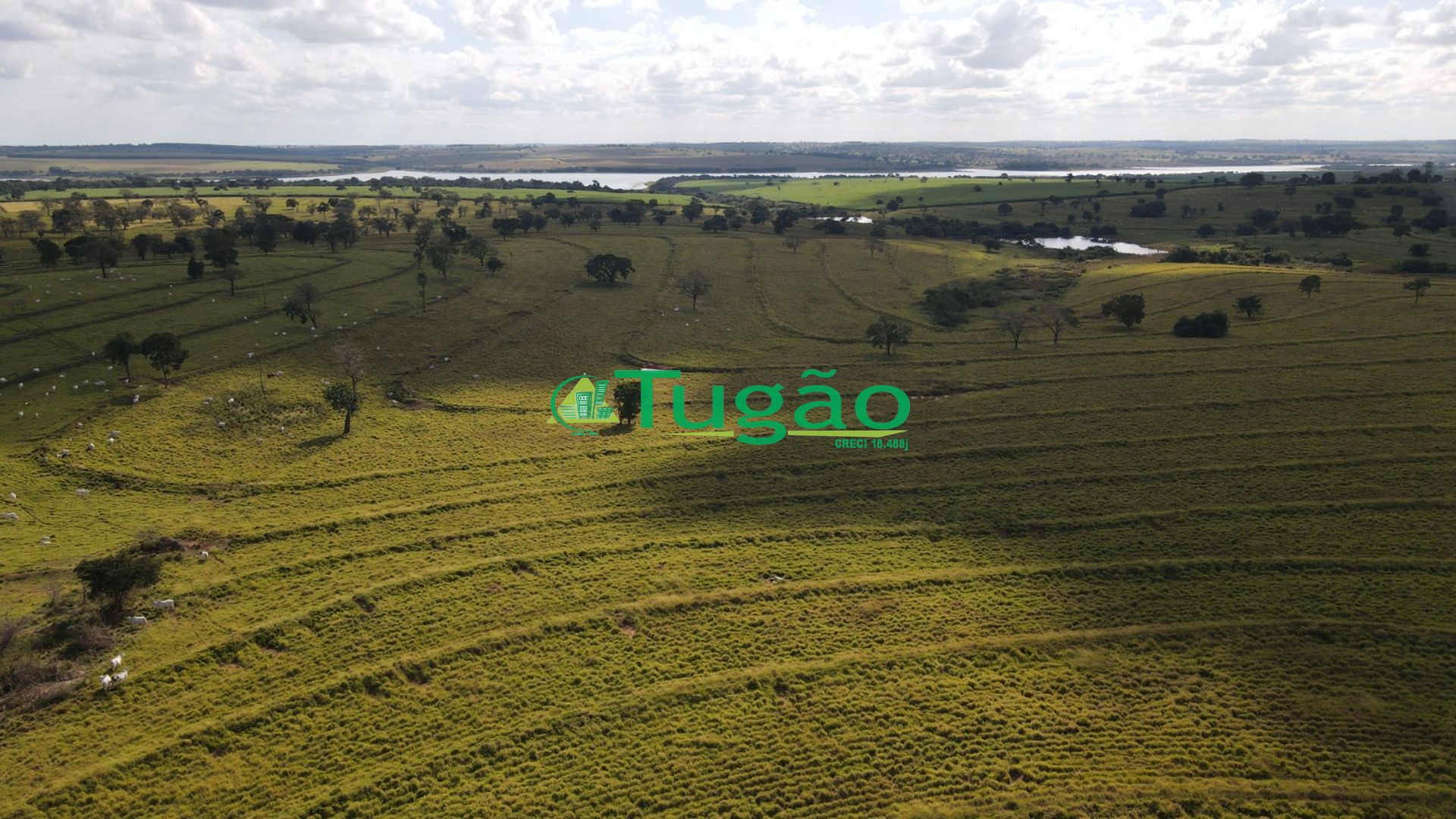 Fazenda / Sítio / Chácara  à venda, 3143183m² — foto 44 de 50