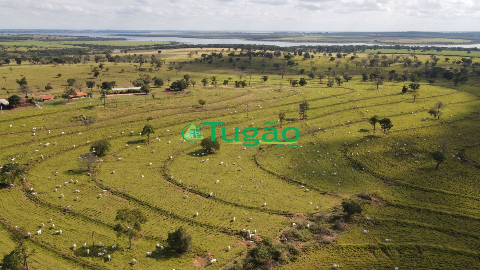 Fazenda / Sítio / Chácara  à venda, 3143183m² — foto 33 de 50